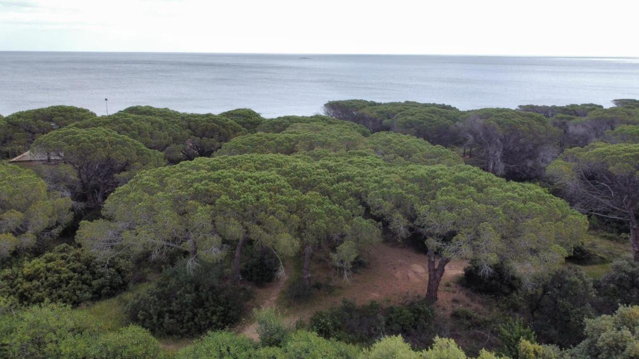 Vila Le Pavoncelle Budoni Exteriér fotografie