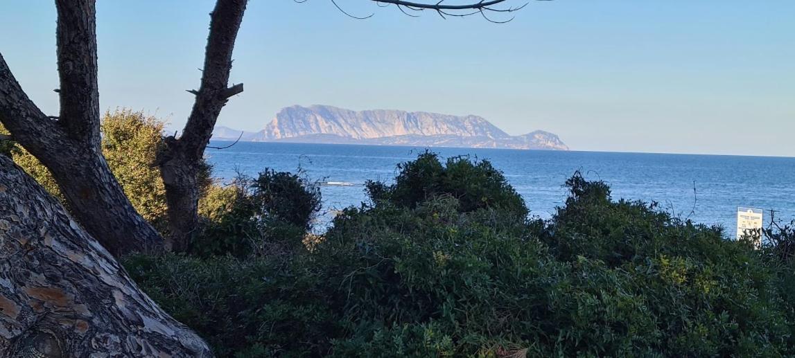 Vila Le Pavoncelle Budoni Exteriér fotografie