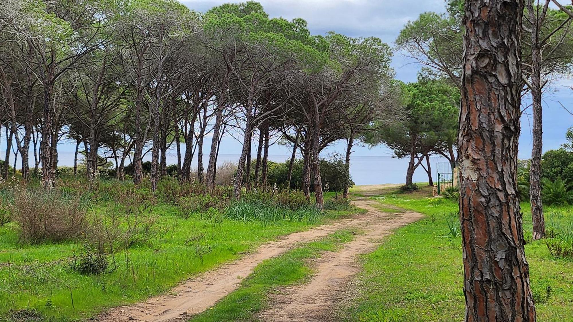 Vila Le Pavoncelle Budoni Exteriér fotografie
